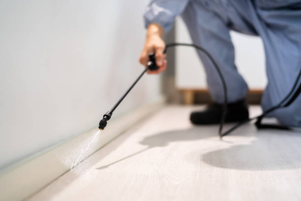 Best Termite Control Services  in Worthington Hills, KY