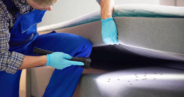 Best Flea Control Services  in Worthington Hills, KY