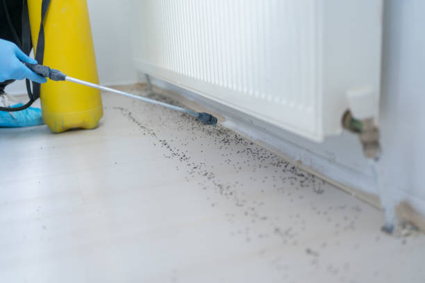 Best Cockroach Control Services  in Worthington Hills, KY