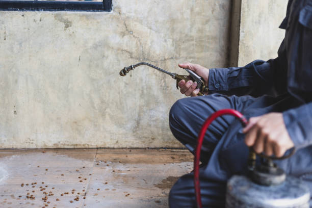 Best Emergency Pest Control  in Worthington Hills, KY
